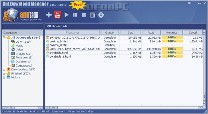 Full version of Ant Download Manager