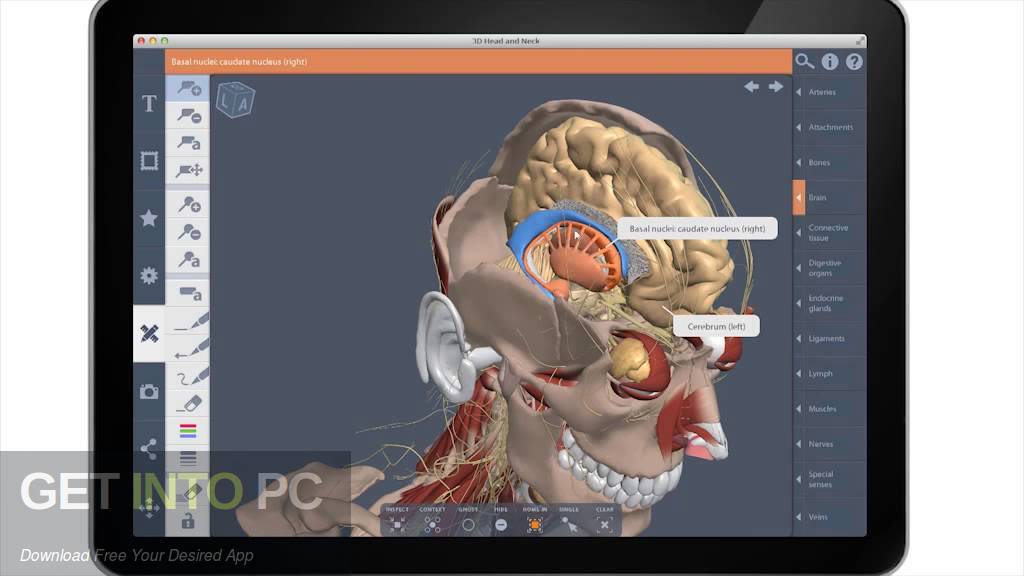 Full interactive series of human anatomy Primal 3D Latest version Download-GetintoPC.com