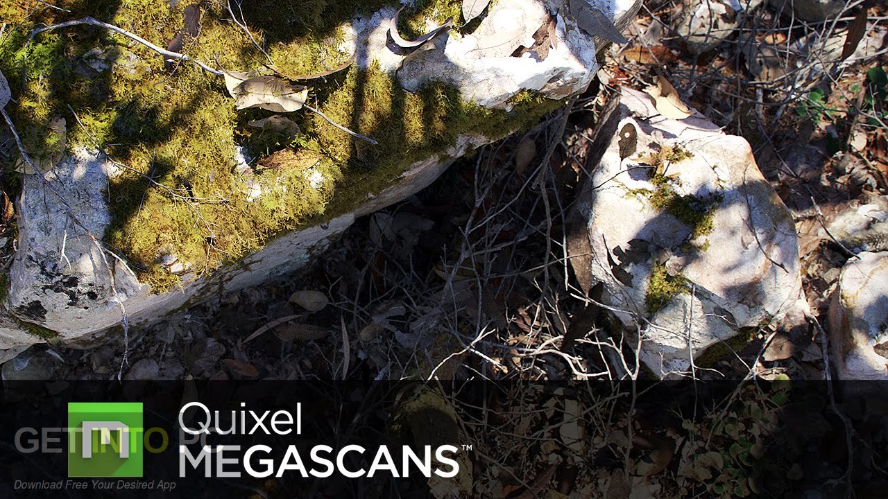 Quixel Megascans Free Download - GetintoPC.com