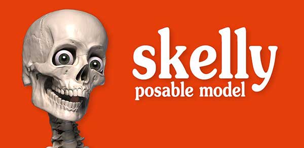 Skelly: Positive Anatomy Model